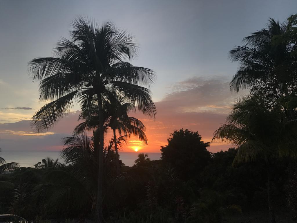 Paradis Tropical