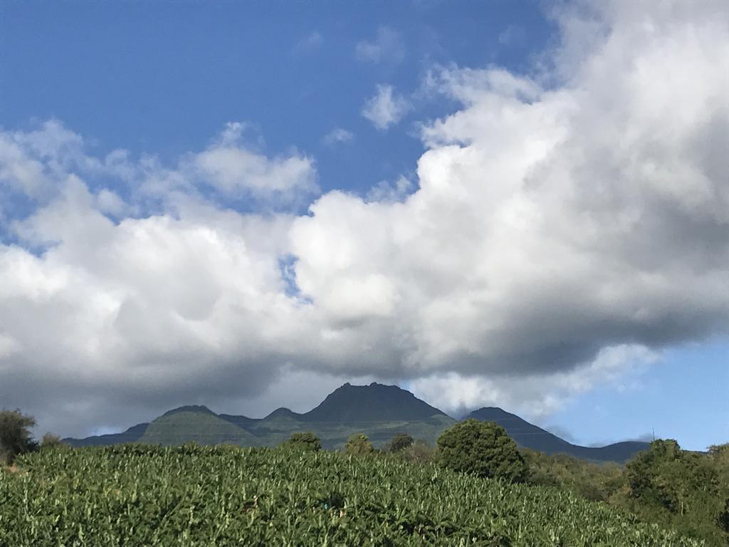 Paradis Tropical Basse-Terre