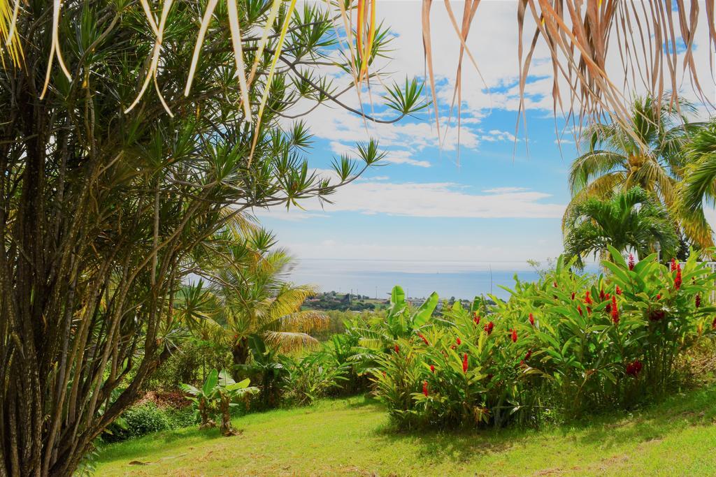 Paradis Tropical