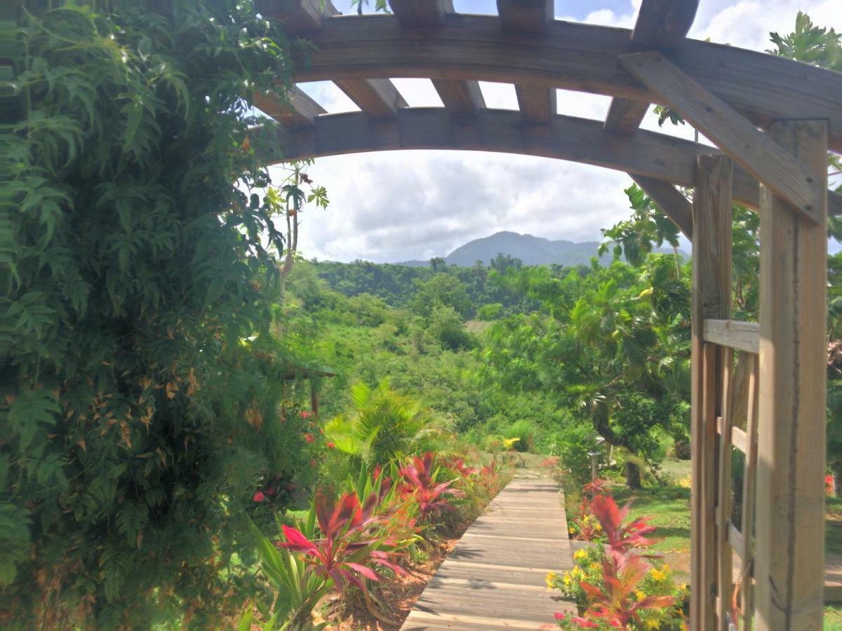 Paradis Tropical Appart hôtel