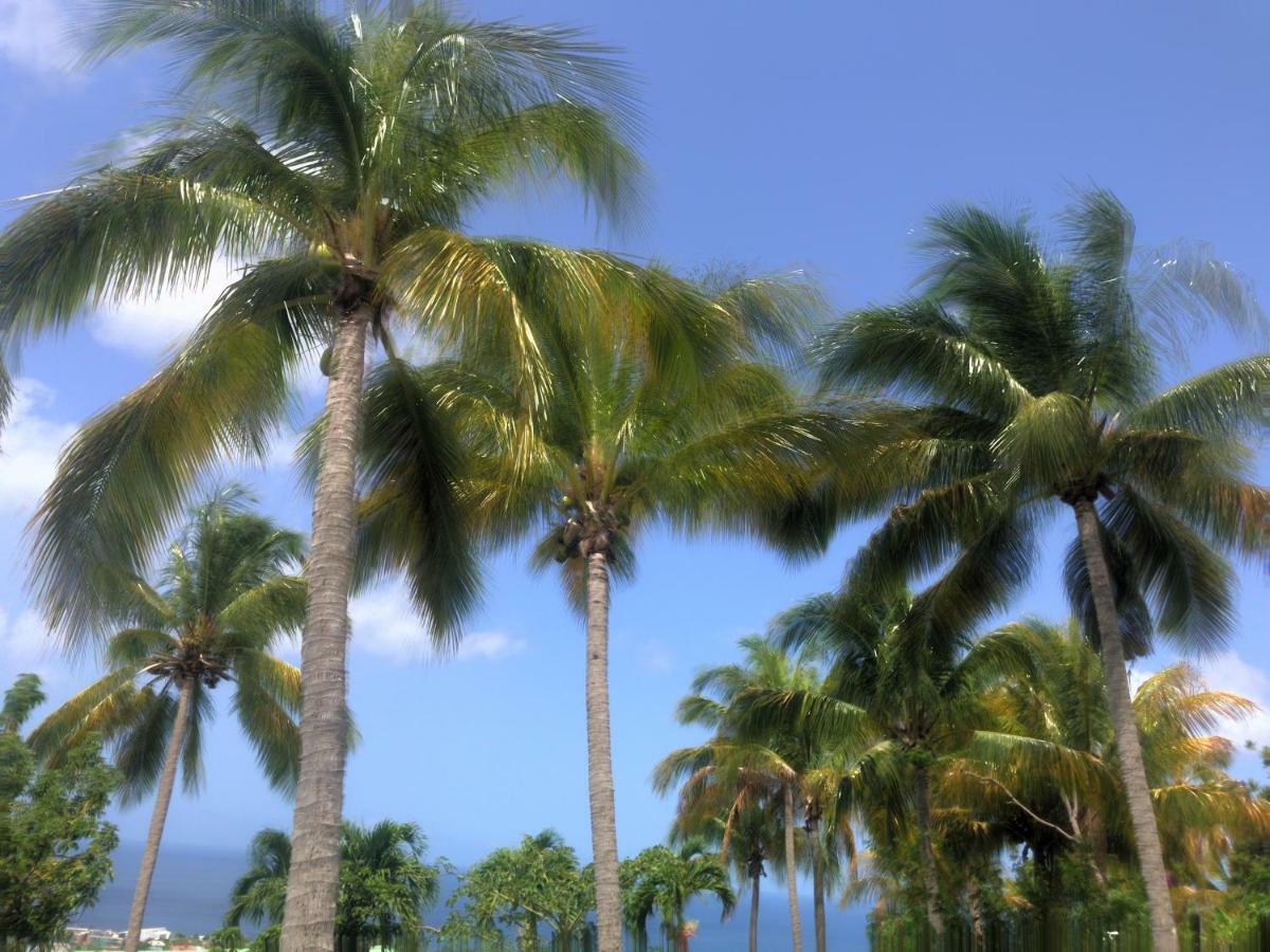 Appart hôtel Paradis Tropical 4*