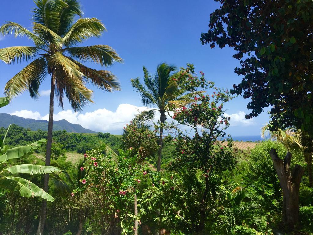 Paradis Tropical Basse-Terre