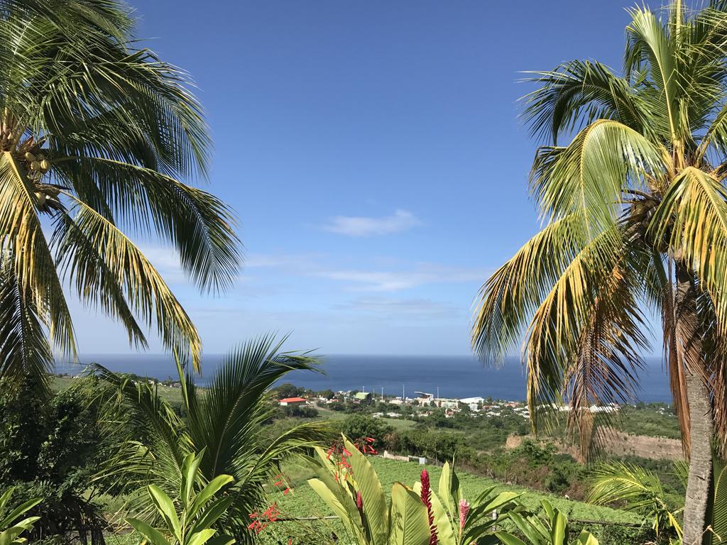 Paradis Tropical Aparthotel