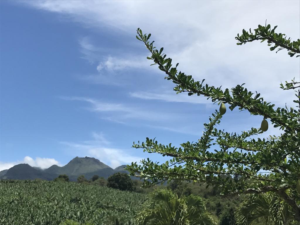 Paradis Tropical 4* Basse-Terre