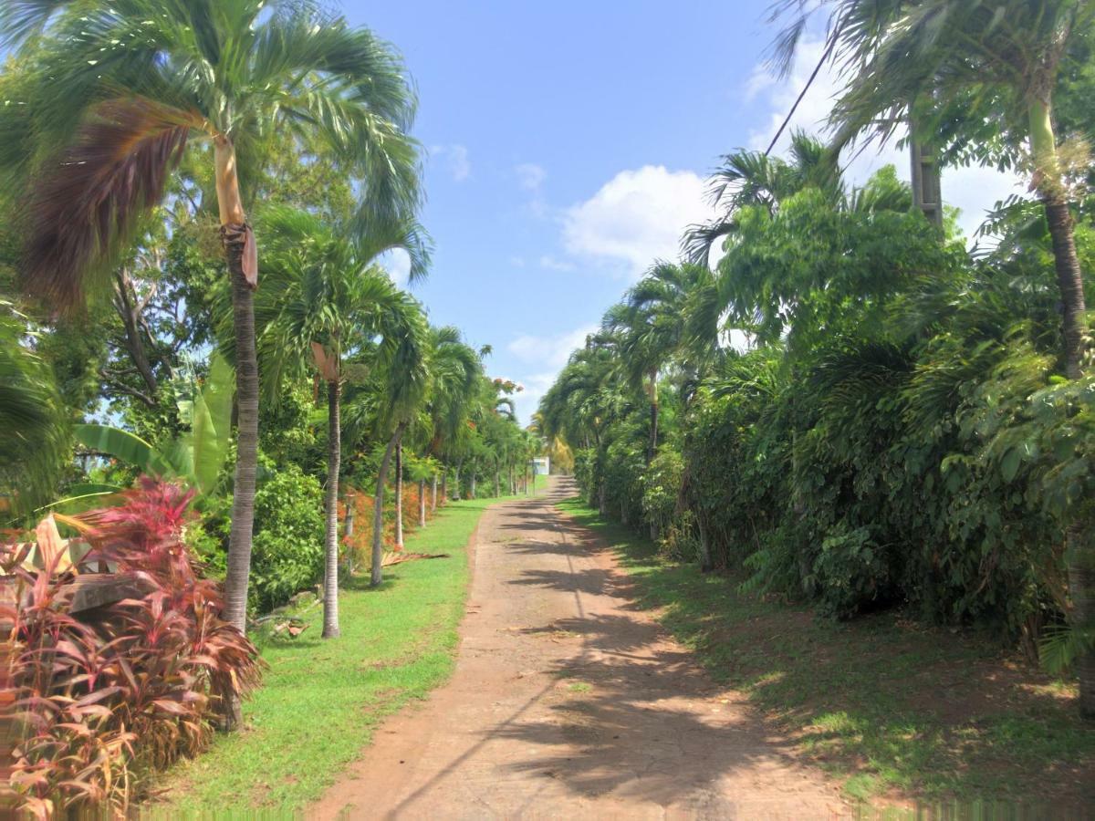 Aparthotel Paradis Tropical 4*